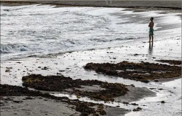  ?? RICHARD GRAULICH / THE PALM BEACH POST ?? Zach McGowen, of Jupiter, checks out the water Monday for possible surfing conditions south of the Jupiter inlet. McGowen had just come from the Juno Beach Pier area, where he noticed stronger respirator­y irritants.