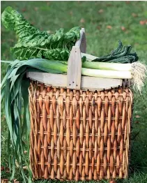  ??  ?? LEFT: Leek and silverbeet are popular winter vegetables gardeners can start now.