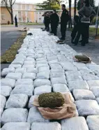  ?? FOTO: AP/ARKIV ?? Makedonsk polis med över 500 kilo marijuana som beslagtagi­ts vid gränsen mot Albanien.