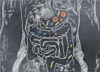  ?? FOTO: COLOURBOX ?? Mikroben bevölkern besonders gern den Darm, weil dort die Versorgung glänzend ist.