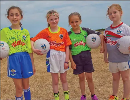  ??  ?? Caomhie Lawor, Grace Ryan, Laura Browne and Keelin Mitchel wearing different Cúl Camp kits at the camp at St Patrick’s GAA Club.