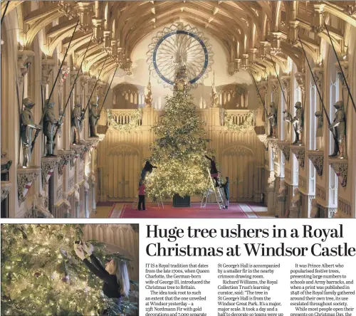  ??  ?? Members of the Royal Collection Trust’s staff make final adjustment­s to the 23ft Christmas tree before it goes on show in St George’s Hall at Windsor Castle.
