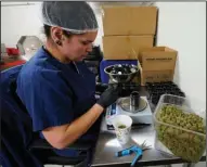  ?? (AP/Paul Sancya) ?? Jessica Owl, weighs True North Collective recreation­al marijuana, during packaging in Jackson, Mich., earlier this month.