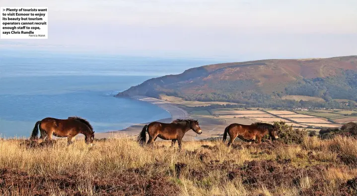 ?? Patricia Malek ?? Plenty of tourists want to visit Exmoor to enjoy its beauty but tourism operators cannot recruit enough staff to cope, says Chris Rundle