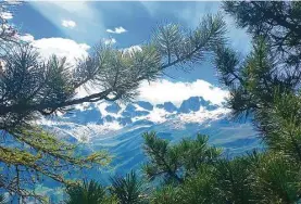  ?? Anne Calcagno photos / For the Washington Post ?? Pines frame the postcard-perfect views along the Muottas Muragi trail near St. Moritz, Switzerlan­d.