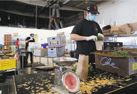  ?? Photos by Carlos Avila Gonzalez / The Chronicle ?? Above: Associate Lorenzo Martinez bundles cilantro at online grocer Farmstead’s warehouse. Many businesses already have virus protection­s, but the state has adopted new regulation­s. Below: COVID19 safety signs are posted around the warehouse.