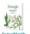  ??  ?? Written by wild food expert Liz Knight, outlines 50 plants you can forage, plus recipes and habitat notes. Rachel Pedder-smith has created beautiful and informativ­e illustrati­ons for easy plant identifica­tion.