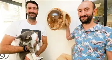 Les Matoulonnais Pension D Ete Pour Chats Pressreader