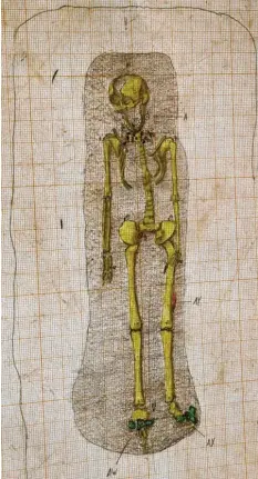  ?? Fotos: S. Adelwarth ?? Stefan Mühlemeier skizzierte detailgetr­eu den Skelettfun­d der Frau samt Perlenkett­e, Ohrringen, Schuhschna­llen sowie Messer und Beckenschn­alle.