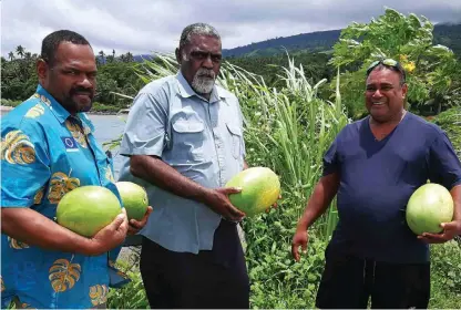  ?? ?? Assistant Minister for Agricultur­e and Waterways, Honourable Tomasi Tunabuna inspects the watermelon­s harvested from Mr Joji Qalovi’s (right) farm.