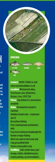  ??  ?? Contact: 01205 724162 or visit www.westwoodla­kes.co.uk
Location: Westwood Lakes, Five House Lane, Wyberton, Boston, Lincs, PE21 7JA
Prices: Day tickets £7, concession­s available
Rules: No keepnets except in matches Barbless hooks only – maximum size...