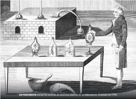  ??  ?? UN PERFUMISTA extrae los aromas de distintas plantas en su laboratori­o. Grabado de 1790.