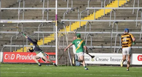  ??  ?? Jack Guiney of Rathnure planting the ball in the far corner of the net, well out of Alley reserve netminder Darren O’Brien’s reach.