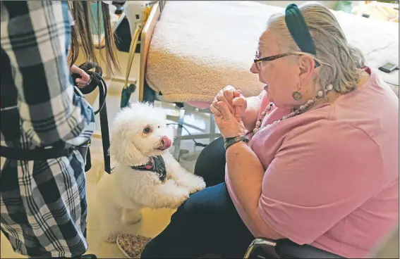  ?? (AP/Seth Wenig) ?? Eileen Nagle, 79, talks with Zeus, a bichon frise, as he visits her room at The Hebrew Home at Riverdale in New York.