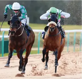  ?? Picture: Archie Watson Racing ?? GOLDEN OLDIE. Captain Lars, left, scored his 11th win of 2018 – and his 23rd overall – at Lingfield at the weekend.