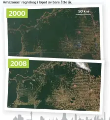  ??  ?? Disse bildene markerer nivåene av avskoging i Amazonas’ regnskog i løpet av bare åtte år.20002008