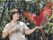  ??  ?? Brendan Mulhall with Big Bird, a green-winged macaw, at the new enclosure.