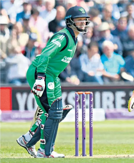  ??  ?? Bristol fashion: Adil Rashid bowls on his way to a five-wicket haul