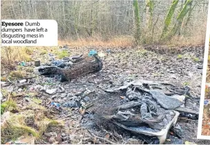  ?? ?? Eyesore Dumb dumpers have left a disgusting mess in local woodland