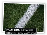  ?? HYLLAT GRÄS. Gör fotboll till konst. FOTO: MOSTPHOTOS ??