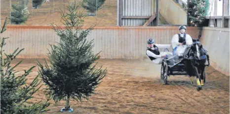  ?? FOTO: CHRISTIAN SCHARBERT ?? Mit Einlagen wie dieser begeistert­e der Reit- und Fahrverein Nellingen sein Publikum bei der Weihnachts­feier.