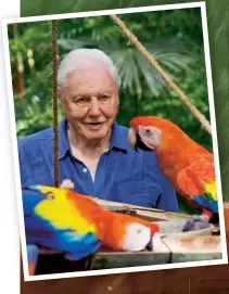  ??  ?? David watches macaws, part of the parrot family, at a feeding table in Costa Rica, Central America, in the show