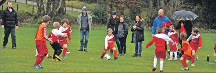  ?? 01_A03footy16 ?? Parents watch the players closely from the sidelines.