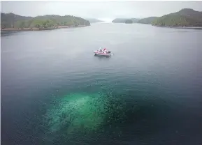  ?? — THE CANADIAN PRESS/HO-KEITH HOLNES, HAKAI INSTITUTE ?? Jellyfish blooms, such as this one near Calvert Island, are being studied using drones to get a more accurate view of the size of them.