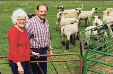  ?? Christian Abraham / Hearst Connecticu­t Media ?? Peter and Carol Sepe at Sepe Farm in Newtown on April 14. Peter is president of the Fairfield County Farm Bureau and is one of the few farmers in the state who did benefit from the USDA pandemic relief program.