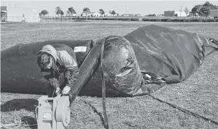  ?? DAVE STEWART/THE GUARDIAN ?? Paul Arsenault is shown working on the current inflatable movie screen at the Runway Drive In, which measures about 40 feet by 20 feet. A permanent screen, with a stage, will be built next season, measuring 60 feet by 30 feet.