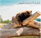 ?? ?? BEAR COUNTRY U.S.A.