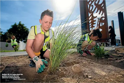  ?? DAVID UNWIN/STUFF ?? Deklan Jill, 10, helps plant the gardens around the new entrance to Bunnythorp­e.