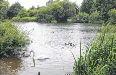  ??  ?? Attacks on wildlife, litter, night-time fishing, bonfires and drug-taking have been reported at Singleton Lake, to where police were called after claims that rifles and catapults were being used