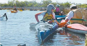  ??  ?? Right: A taste of warmer weather allowed canoeists to make a splash and enjoy their trip around Rotamah Island, where they saw baby swans