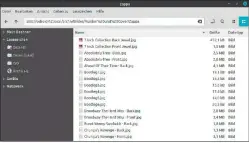 ??  ?? Nemo (Cinnamon) beschleuni­gt die Ordnernavi­gation dadurch, dass er auf die Minibilder (Thumbnails) von Bild- und Videodatei­en zunächst verzichtet.