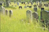  ??  ?? Taynuilt's overgrown cemetery earlier this month.