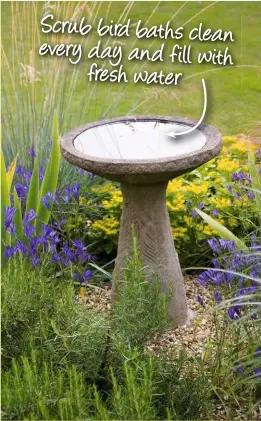  ??  ?? Scrub bird baths clean every day and fill with freshwater