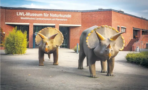  ??  ?? Blick auf das Naturkunde­museum in Münster: Der Erlös aus dem Aktienverk­auf soll auch Museen zugutekomm­en.