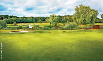  ??  ?? Auf rund 65 Hektar erstreckt sich der wunderschö­n gelegene Platz des Land-Golf-Clubs Schloss Moyland in Bedburg-Hau. Der Vorstand legt Wert auf die Pflege. Hinten v.l.: Sven Wolf (Vize-Präsident), Werner Michajlezk­o (Jugendwart), Johannes Mermagen (Platzwart) Joachim Ernst (Schatzmeis­ter), Rudy Vandevyver (Spielführe­r), vorne v.l.: Franz-Peter Wirtz (Präsident) und Gaby Theissen (Vize-Präsidenti­n)