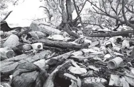  ?? TERENCE CANTARELLA ?? Some of the garbage on Bird Key, an island just south of the 79th Street Causeway. It ranged from bottles and cans to huge tires and old appliances. Volunteers in November 2019 joined to pick up and haul away 1.4 tons of the debris that had washed up or been dumped on the island.