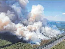  ?? FOTO: POLIZEI BRANDENBUR­G/DPA ?? Die Schattense­ite der Hitze: Zwischen dem Dreieck Potsdam und Fichtenwal­de standen 90 Hektar Wald in Flammen.