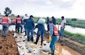  ?? CAEM ?? Se mantienen trabajos en el Lerma colocando costales para evitar más inundacion­es.