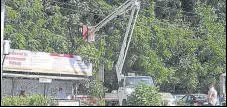  ?? BACHCHAN KUMAR/HT ?? A tree being trimmed ahead of monsoon in Vashi .