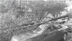  ?? — Gambar AFP ?? KUASA ALAM: Gambar menunjukka­n dahan pokok yang patah menimpa sebuah kereta selepas Taufan Tropika Isaias membadai daerah Astoria di Kota New York kelmarin.