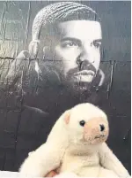  ??  ?? Ossington Bear’s adventures in Toronto included meeting Drake (or at least a photo of “The 6 god”).