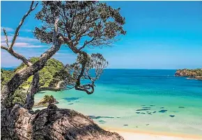  ?? LACHIE SCARSBROOK ?? And this is what it’s all about. Matapouri Bay is one of the most picturesqu­e bays on the Northland coast.