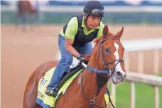  ?? MARK ZEROF, USA TODAY SPORTS ?? Hence is one of three Steve Asmussen-trained horses set to run in the Kentucky Derby, where Asmussen is 0-for-15.