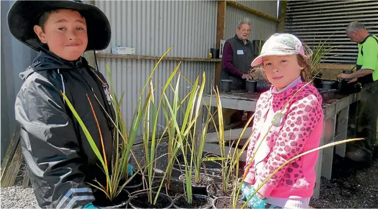  ?? PHOTO: ROBERT STEVEN/FAIRFAXNZ ?? Carlos and Amber Rose carrying a tray of newly potted New Zealand Flaxes to the Wairakei Estate nursery last year.