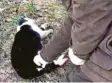  ?? Foto: Screenshot ?? Eine Szene aus dem Video der „Soko Tierschutz“.