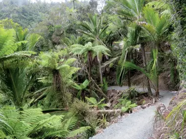  ??  ?? Below right: Near the end of the Paparoa Trail.